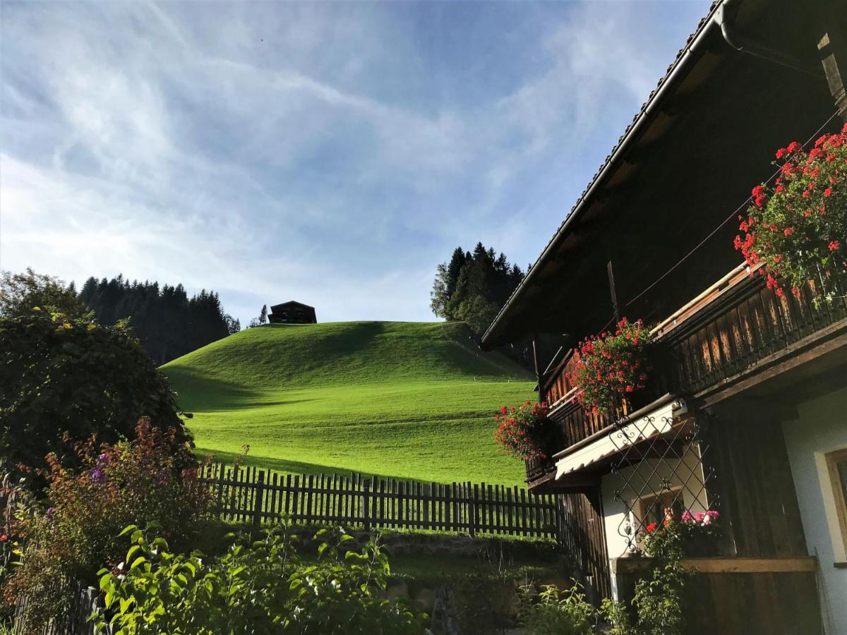 Apartment Chalet Edelweiss - Wil001 By Interhome Auffach Extérieur photo